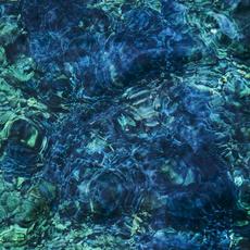 Luminescent Creatures mp3 Album by Ichiko Aoba (青葉市子)