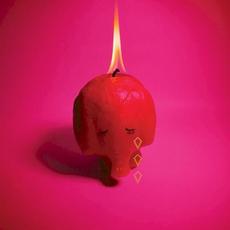 Pink Elephant mp3 Album by Arcade Fire