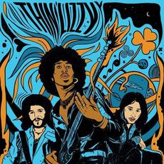 The Acoustic Sessions mp3 Album by Thin Lizzy