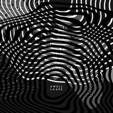 Swell mp3 Single by Laake