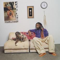 13 Months of Sunshine mp3 Album by Aminé (USA)