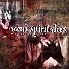 The Process of Grief mp3 Album by Your Spirit Dies