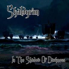 In the Shadow of Darkness mp3 Album by Skaldgrim