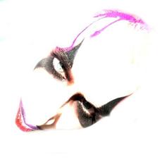 Psalms mp3 Album by Holywatr