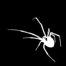 eat me ! mp3 Album by Holywatr