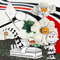 I’m fakin’ my own death just to get some rest mp3 Album by sleepingdogs