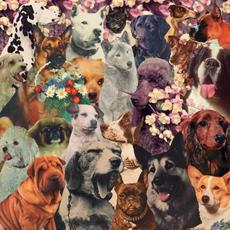 DOGSTOEVSKY mp3 Album by sleepingdogs