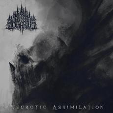 Necrotic Assimilation mp3 Album by Wrath of Logarius