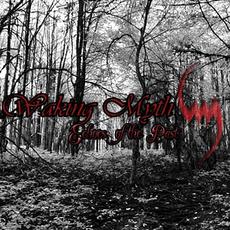 Echoes of the Past mp3 Album by Waking Myth