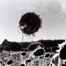 Believer mp3 Album by Blue Cactus