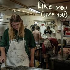 Like You (Like You) mp3 Single by Dexter and The Moonrocks