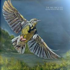 Dear Meadowlark mp3 Album by The Wildwoods