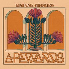 Liminal Choices mp3 Album by Apewards