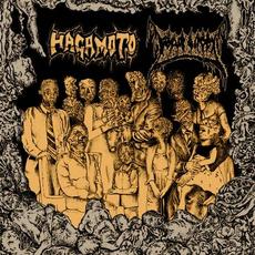 Hagamoto / Fetus Slicer mp3 Compilation by Various Artists