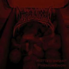 Rotten Infant Phenomenon mp3 Album by Fetus Slicer