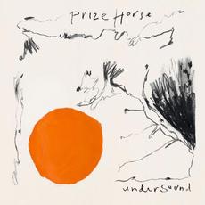Under Sound mp3 Album by Prize Horse