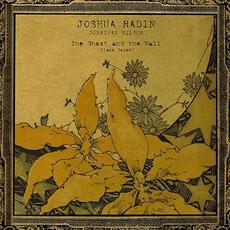 The Ghost and the Wall (Piano Solos) mp3 Album by Joshua Radin / Jonathan Wilson