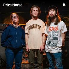 Prize Horse on Audiotree Live mp3 Live by Prize Horse
