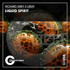 Liquid Spirit mp3 Single by Richard Grey, Lissat