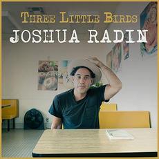 Three Little Birds mp3 Single by Joshua Radin