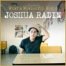 What a Wonderful World mp3 Single by Joshua Radin
