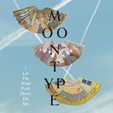I Let the Wind Push Down on Me mp3 Album by Moontype