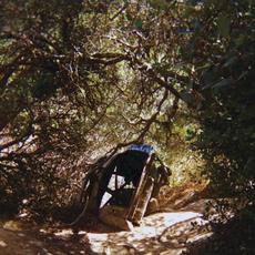 Possession mp3 Album by Ty Segall