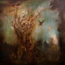 Avlivsritualer mp3 Album by Vanvidd