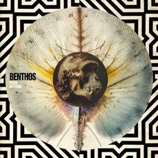 From Nothing mp3 Album by Benthos