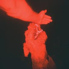 A Trick of the Light mp3 Album by Eli Winter