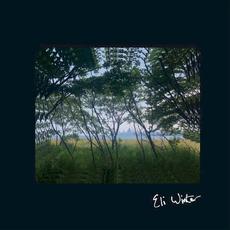 Eli Winter mp3 Album by Eli Winter
