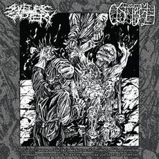 A Clinical Debate on the Implementation of Traumatic Hemicorporectomy Procedure and Discussion of Ethics Regarding Disfiguring Surgeries mp3 Album by Sulfuric Cautery