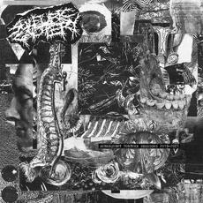Subsequent Torture Sessions 2019-2021 mp3 Album by Sulfuric Cautery