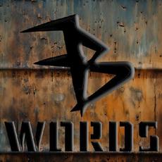 Words mp3 Album by Fighting Bridges