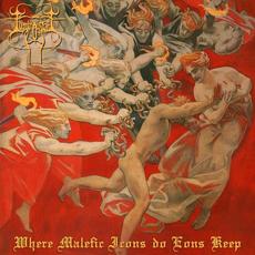 Where Malefic Icons Do Eons Keep mp3 Album by Luminous Veil