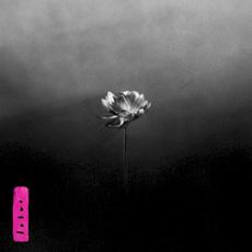 Lotus mp3 Album by Little Simz