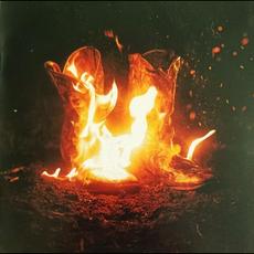 Walk Through Fire mp3 Album by Ben Fuller