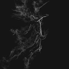 Illusory mp3 Album by Jarboe