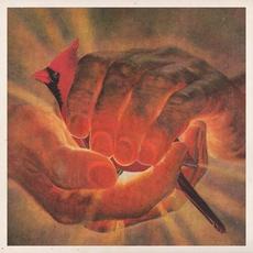 Cardinal mp3 Album by Bouquet