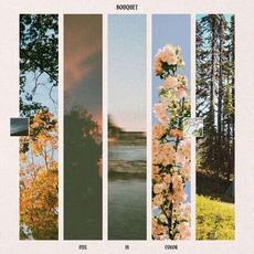 Feel In Color mp3 Album by Bouquet