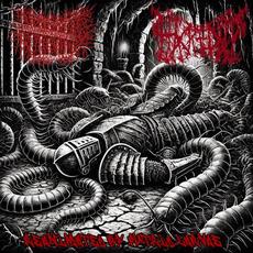 Reanimated By Putrid Larvae mp3 Album by Hacked Up