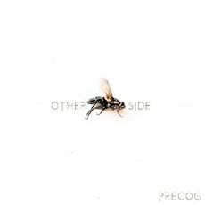 Other Side mp3 Album by PreCog