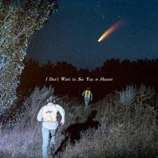 I Don’t Want to See You in Heaven mp3 Album by The Callous Daoboys