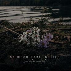 Sentiment mp3 Album by So Much Hope Buried.