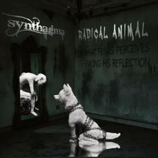 Radical Animal mp3 Album by Synthagma