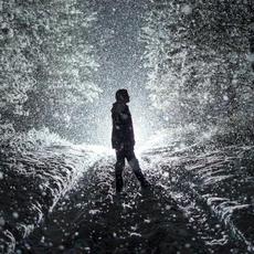 Willfully Blind mp3 Album by Max McNown