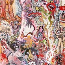 Very Human Features mp3 Album by The Bug Club