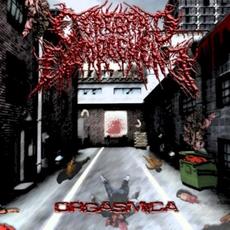 Orgasmica mp3 Album by Cerebral Engorgement