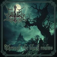 Through The Black Realms mp3 Single by Ludus Umbrarum