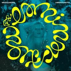 Laminar Flow Pt.II mp3 Single by Winter Gardens